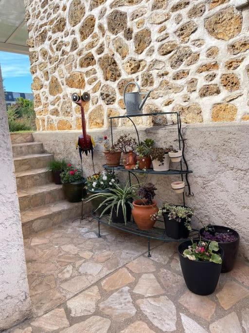 «  La Petite Maison » ....Des Grands Espaces... Saint-Maur-des-Fossés Esterno foto